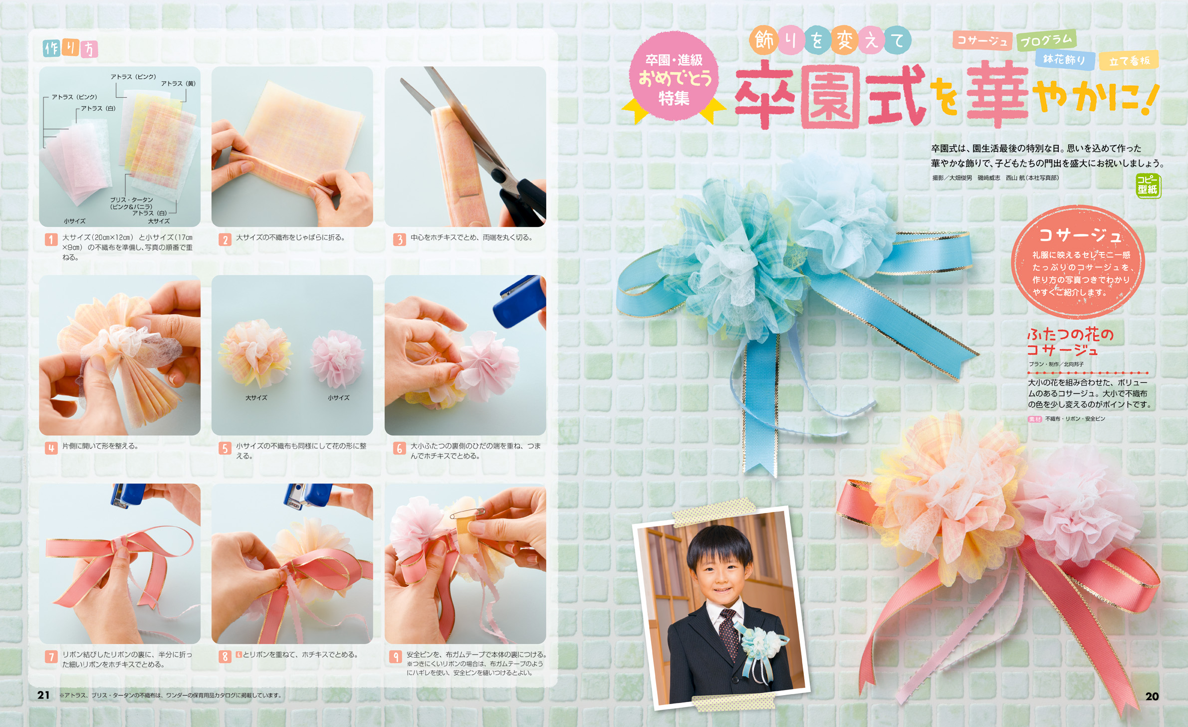 get_field('issue1title')