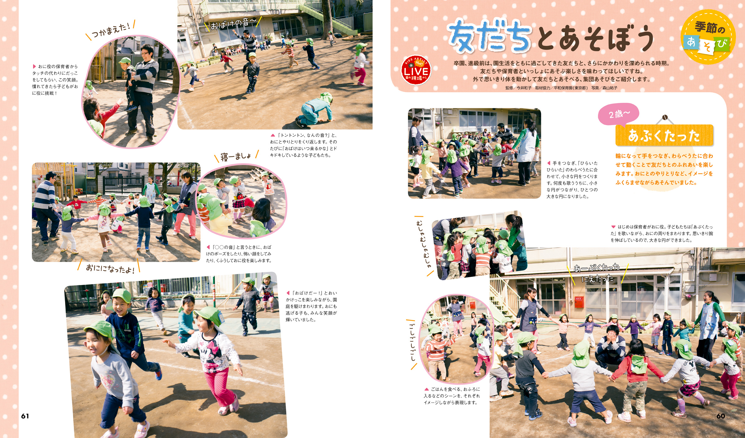 get_field('issue1title')