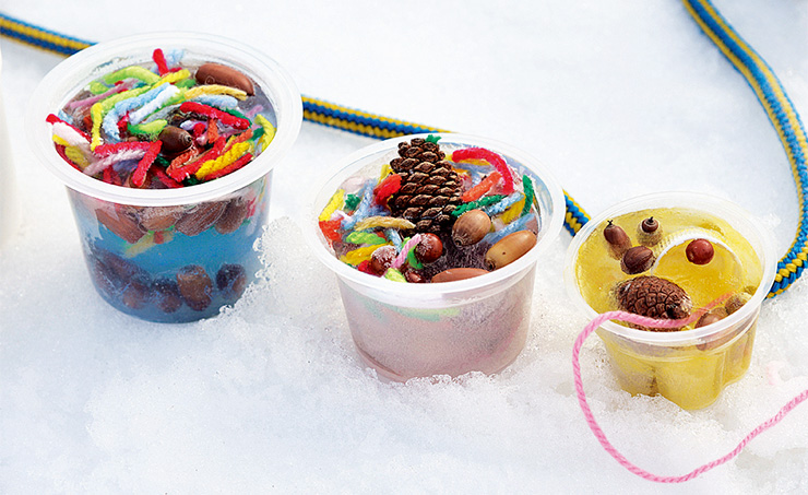 冬の自然あそび「カラフルカチコチ」