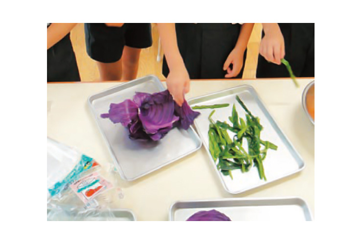 草花や野花の色を発見！