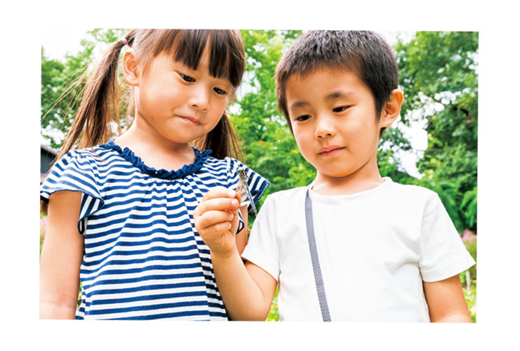 虫を観察して切り紙で表現しよう！