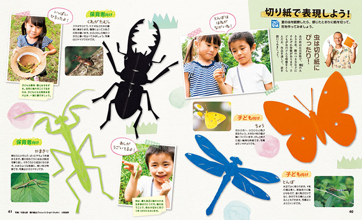 get_field('issue1title')