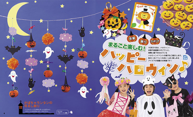 get_field('issue1title')