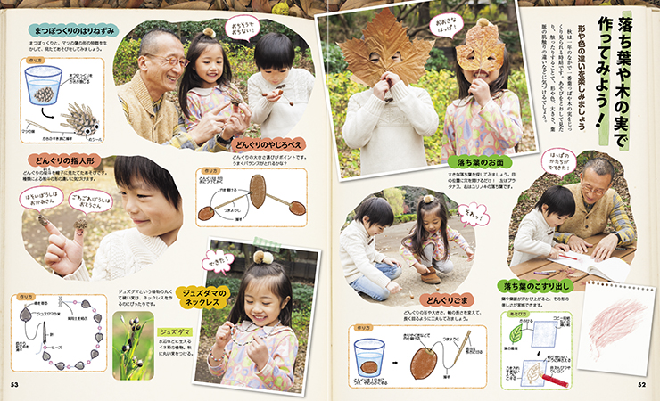 get_field('issue1title')