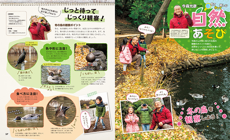 get_field('issue1title')