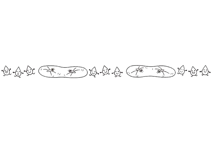 ６月の自然のイラスト