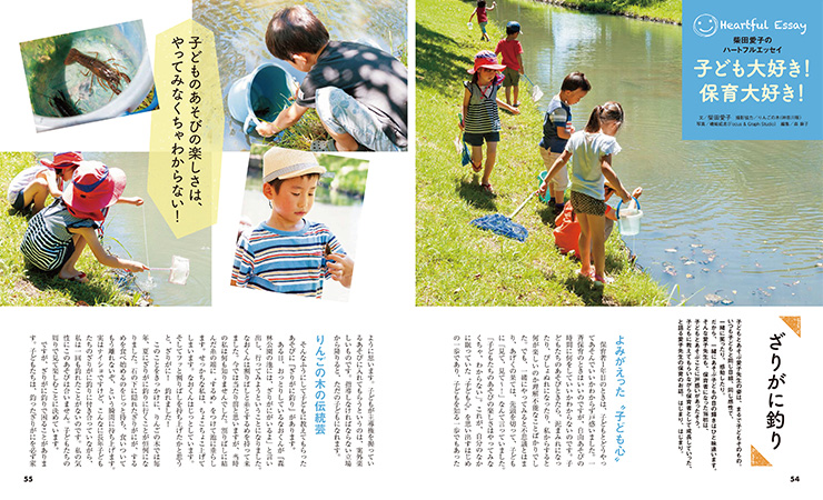 get_field('issue1title')