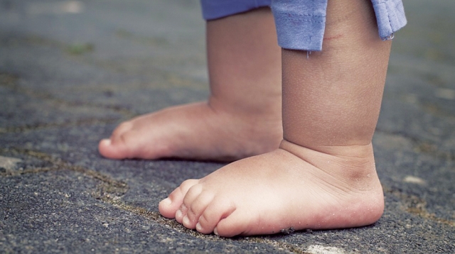 12月からだのふしぎ