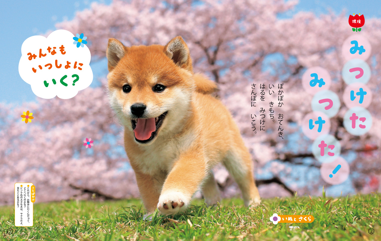 みつけた　みつけた！