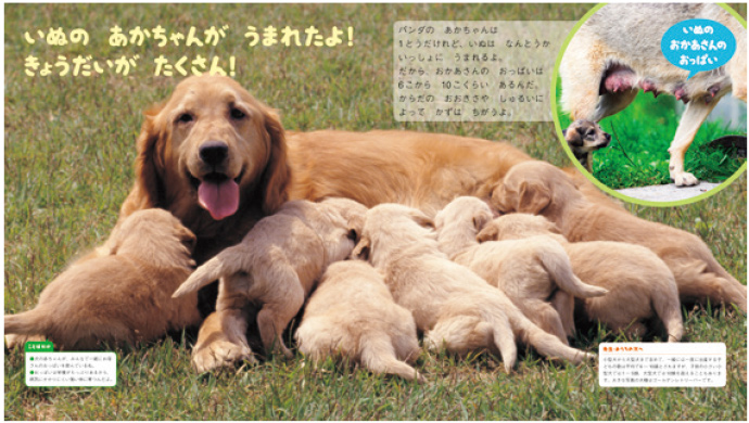 4月【生き物】うまれたよ！