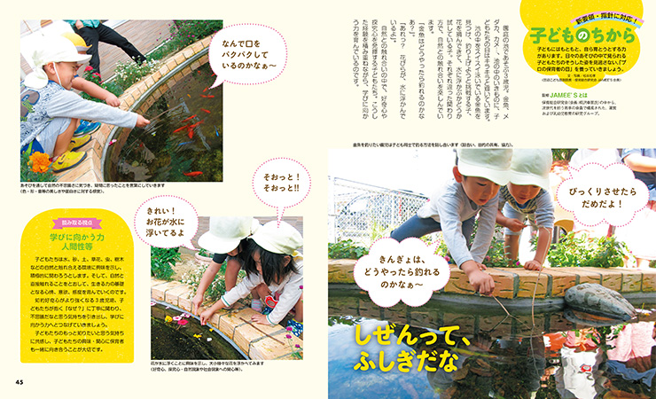 get_field('issue1title')