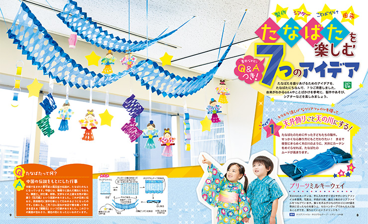 get_field('issue1title')