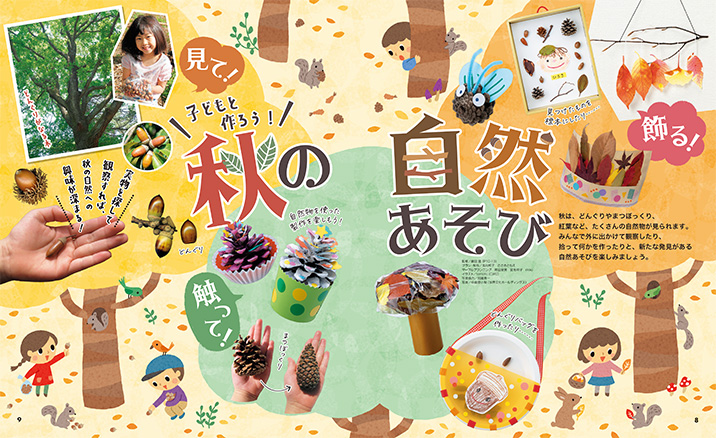 get_field('issue1title')