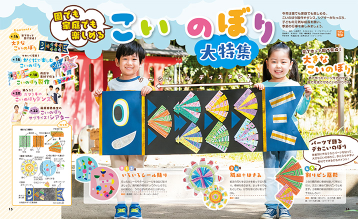 get_field('issue1title')