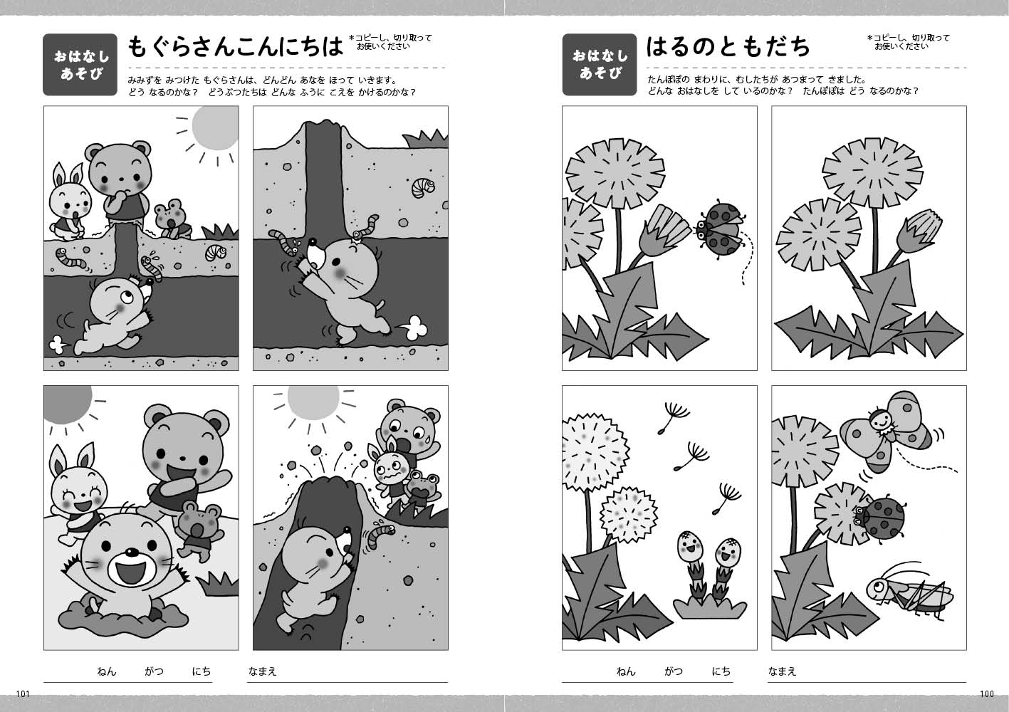 get_field('issue1title')