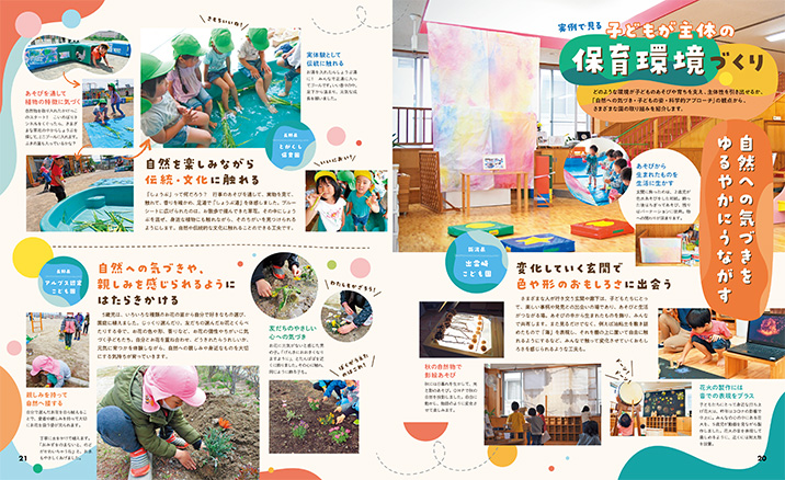 get_field('issue1title')