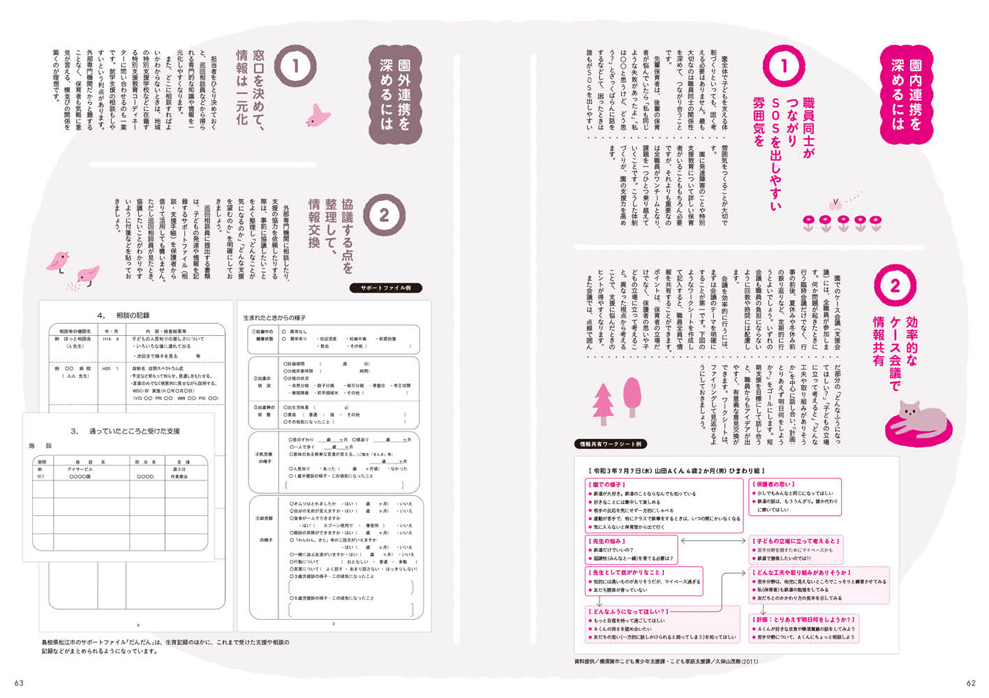 get_field('issue1title')