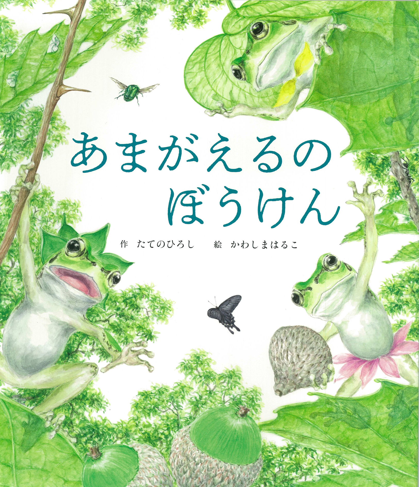 あまがえるのぼうけん