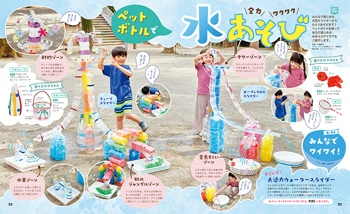 get_field('issue1title')