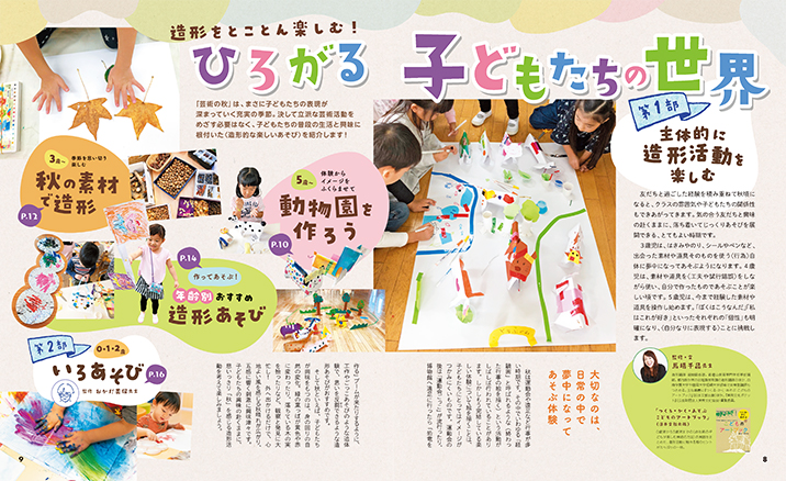 get_field('issue1title')