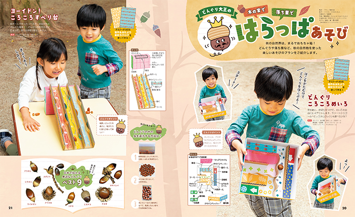 get_field('issue1title')