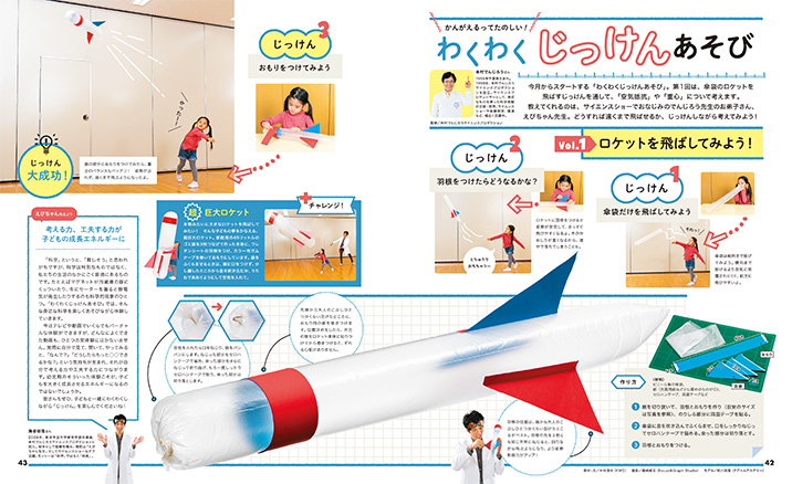 get_field('issue1title')