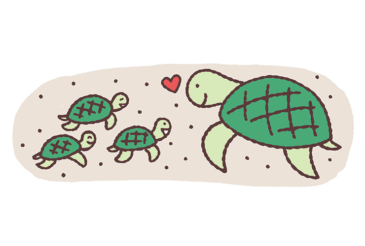 ウミガメの親子のイラスト