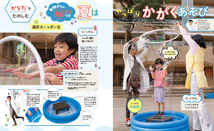 get_field('issue1title')