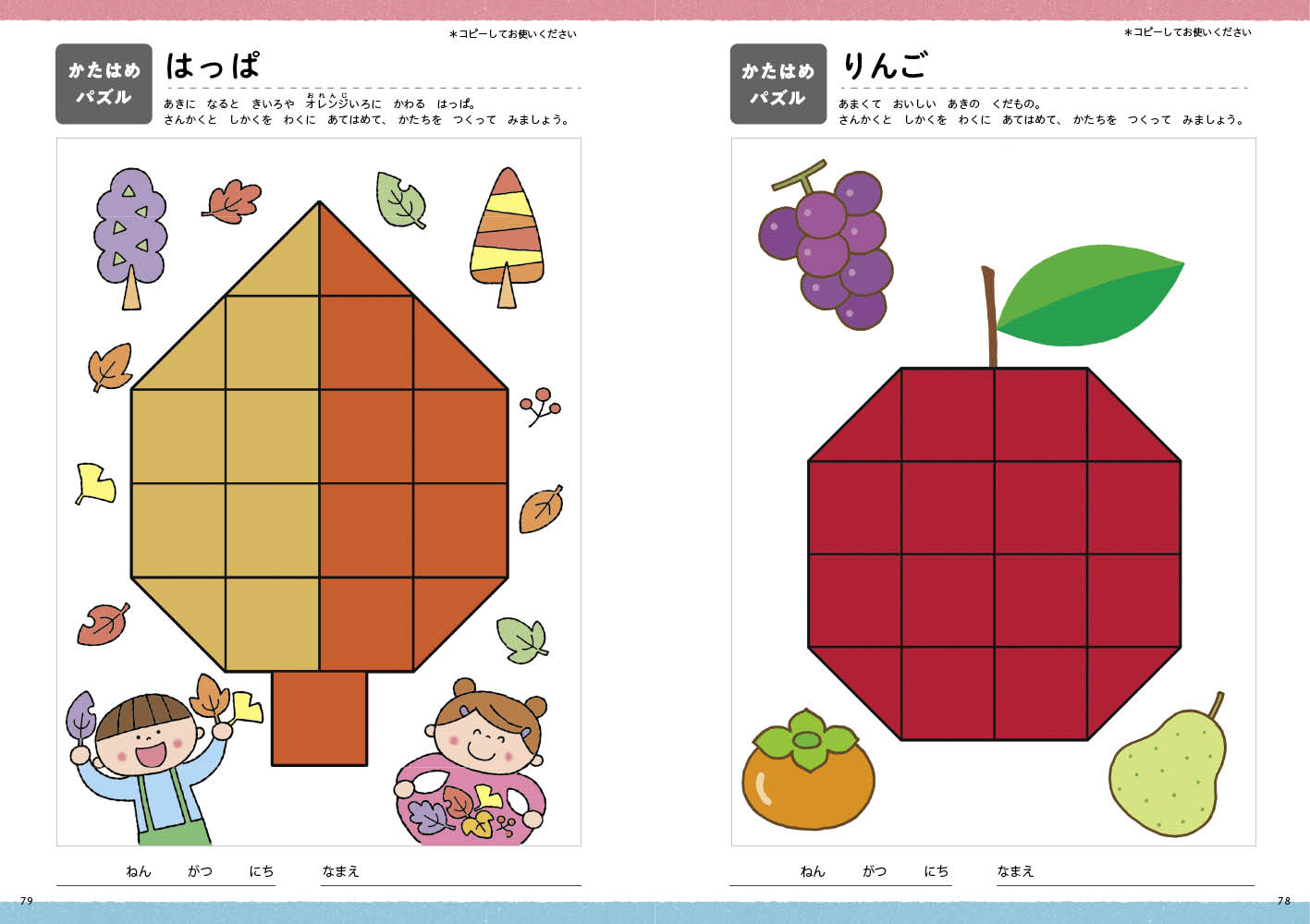 get_field('issue1title')