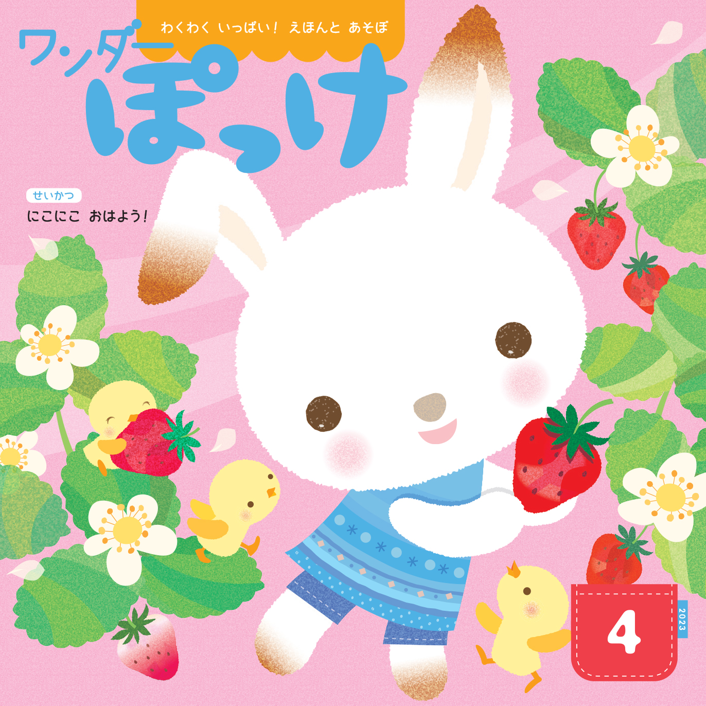 ワンダーぽっけ 2023年度版