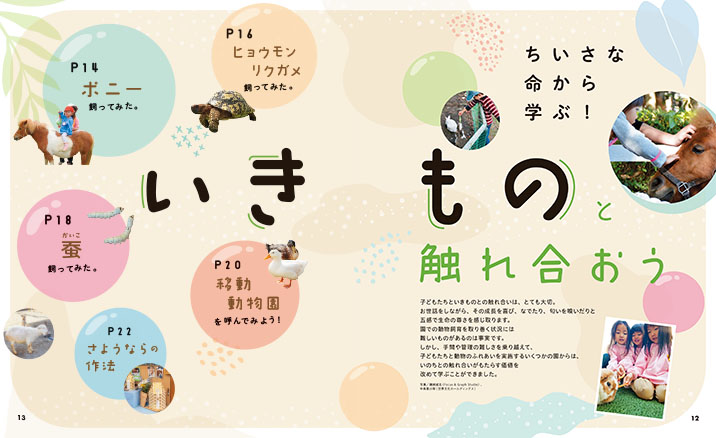 get_field('issue1title')