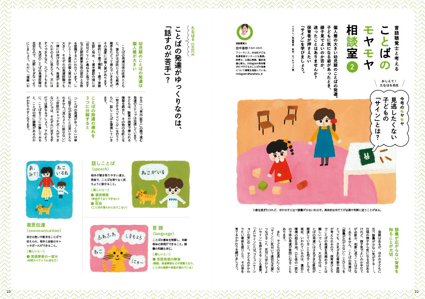 get_field('issue1title')