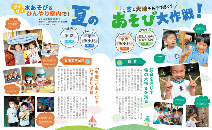 get_field('issue1title')