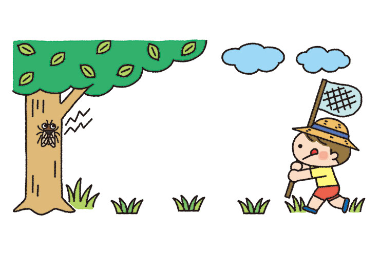 セミ捕りをする男の子の飾り枠