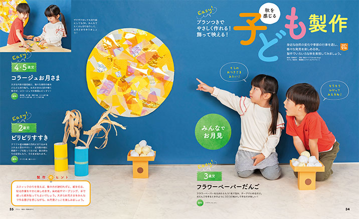 get_field('issue1title')