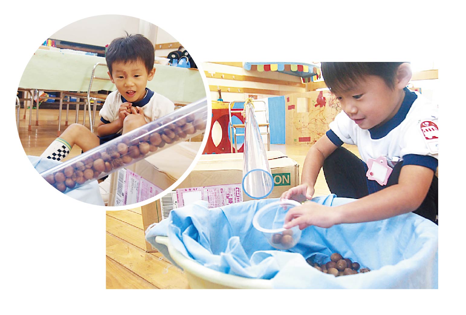 どんぐりコロコロ