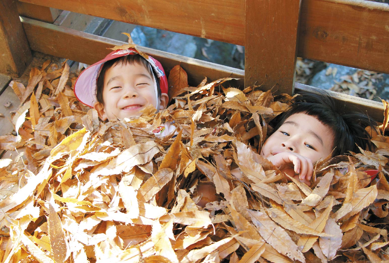 秋の素材で自然あそび