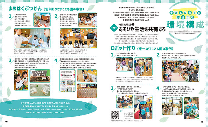 get_field('issue1title')