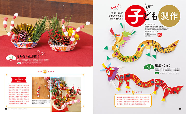 get_field('issue1title')