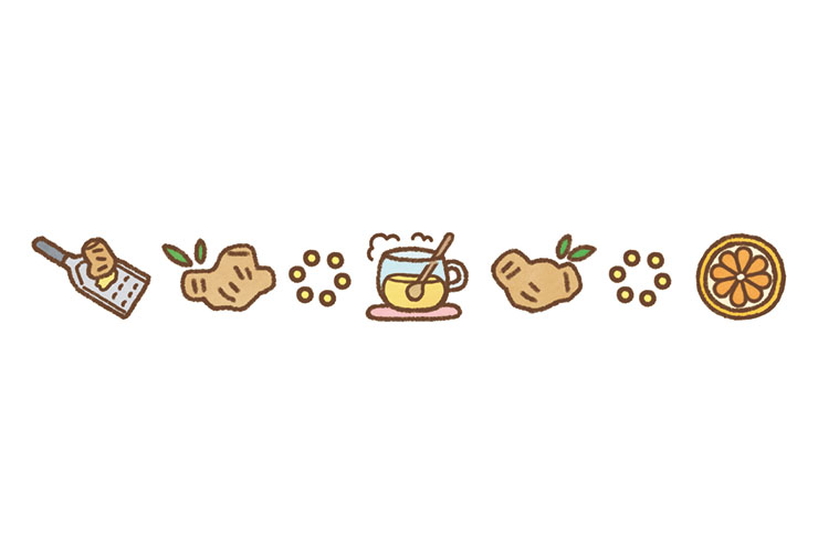 ホットジンジャーオレンジのイラスト