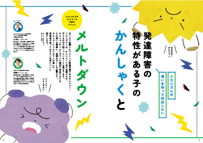 get_field('issue1title')