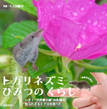 トガリネズミ ひみつのくらし