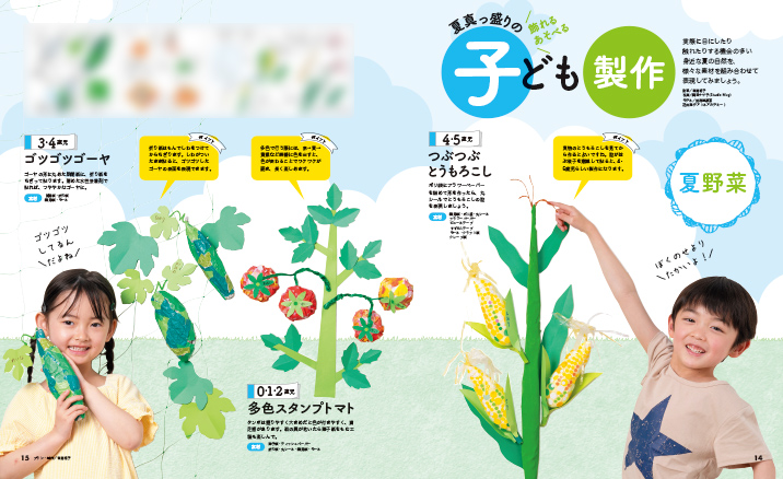 get_field('issue1title')