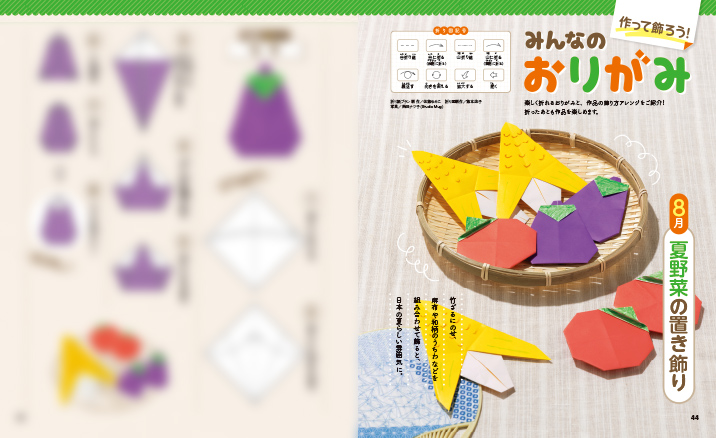 get_field('issue1title')