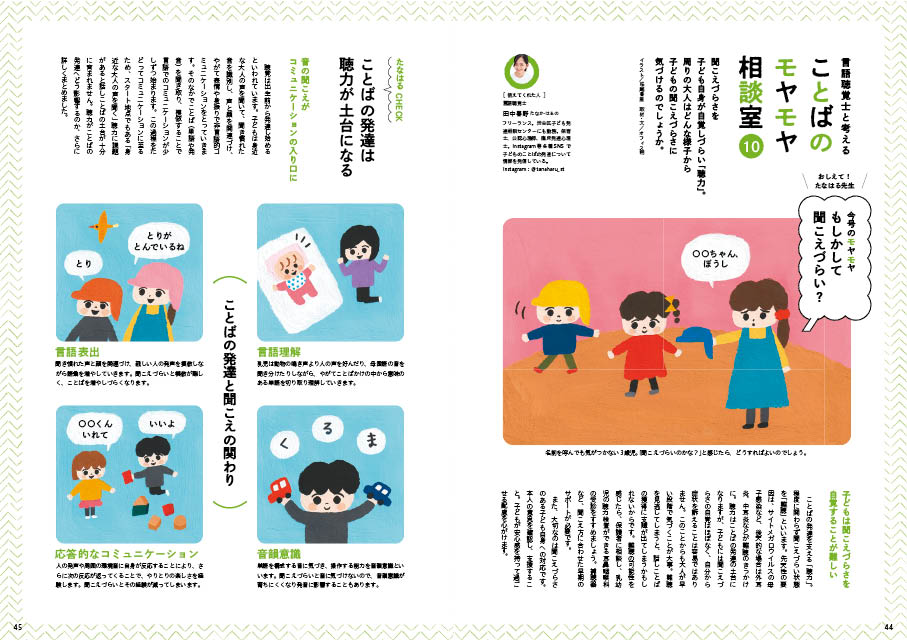 get_field('issue1title')