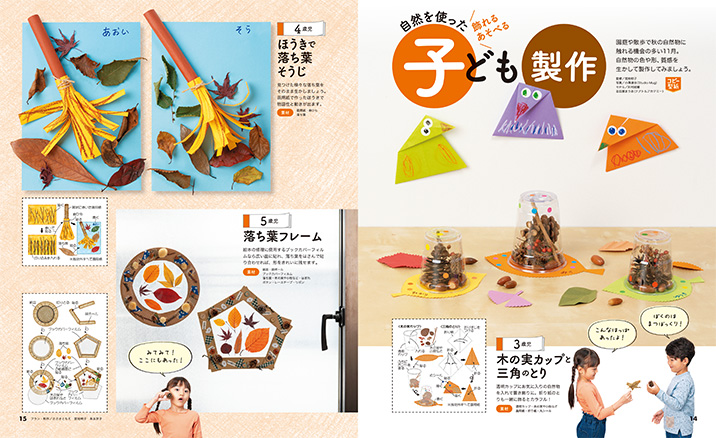 get_field('issue1title')