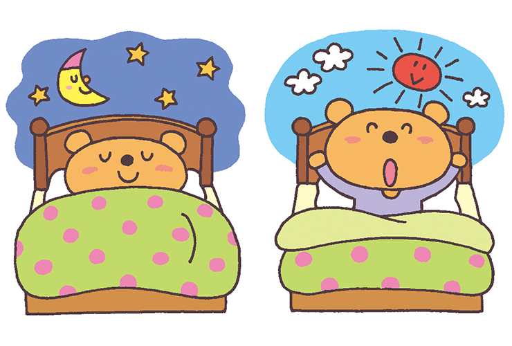 早寝早起きのイラスト